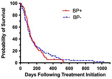 Retrospective Evaluation of Outcome in Dogs With Appendicular Osteosarcoma Following Hypofractionated Palliative Radiation Therapy With or Without Bisphosphonates: 165 Cases (2010–2019)